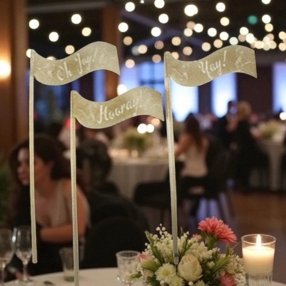 12 YAY HOORAY OH JOY Photo Booth Pennant Props On Stick Weddings Birthdays Guest